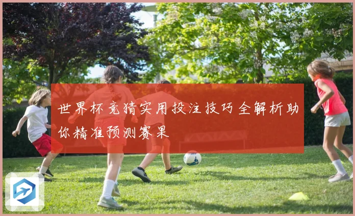 世界杯竞猜实用投注技巧全解析助你精准预测赛果