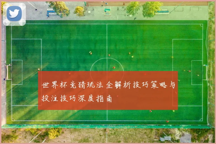 世界杯竞猜玩法全解析技巧策略与投注技巧深度指南