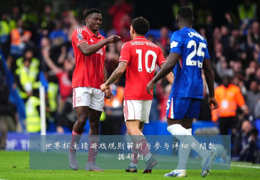 世界杯竞猜游戏规则解析与参与详细介绍数据研判