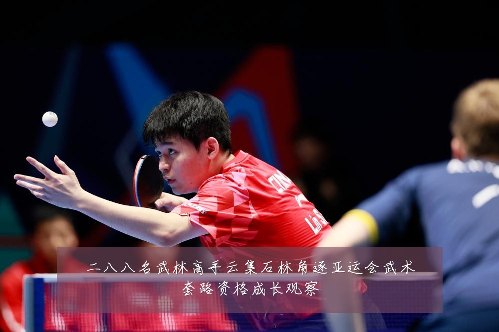 二八八名武林高手云集石林角逐亚运会武术套路资格成长观察