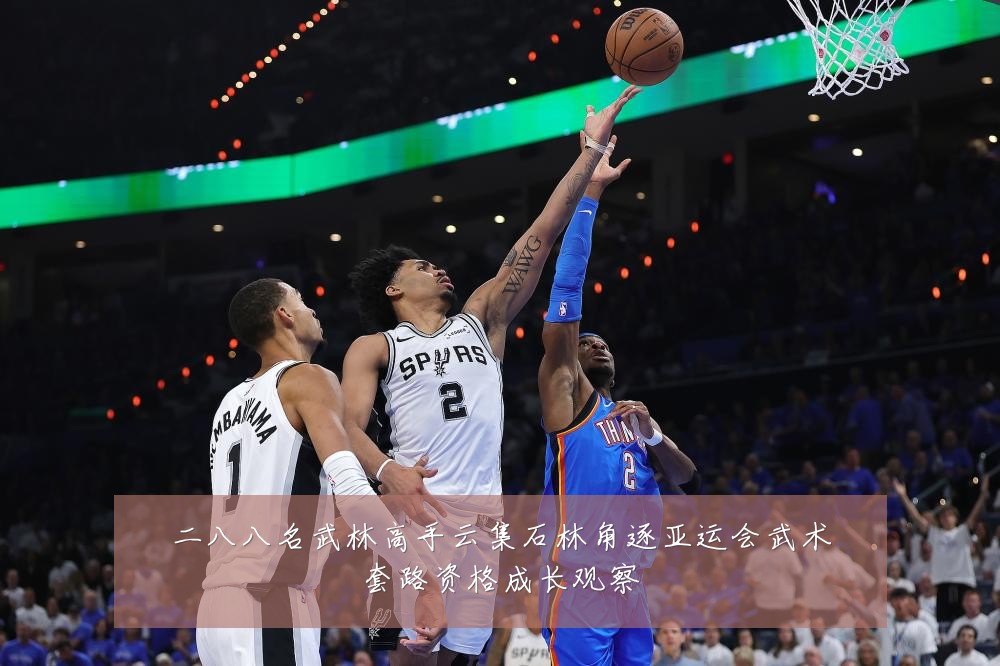 二八八名武林高手云集石林角逐亚运会武术套路资格成长观察